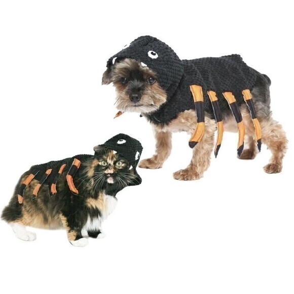 Vibrant Life Dog‎ Pet Halloween Spider Costume Size Small - Picture 1 of 6
